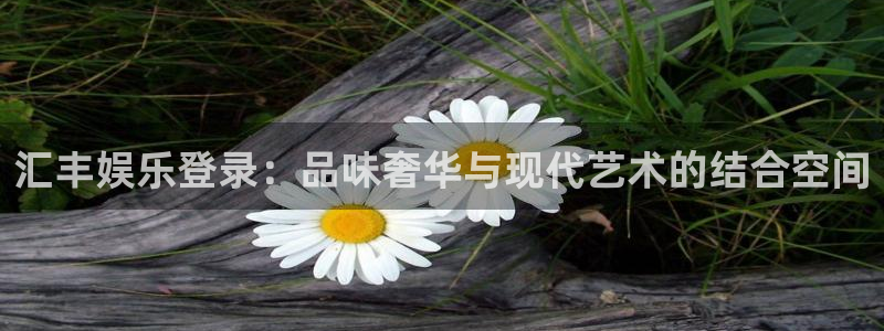 壹号娱乐零能源集团：汇丰娱乐登录：品味奢华与现代艺术的结合空间