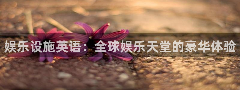 壹号娱乐2平台