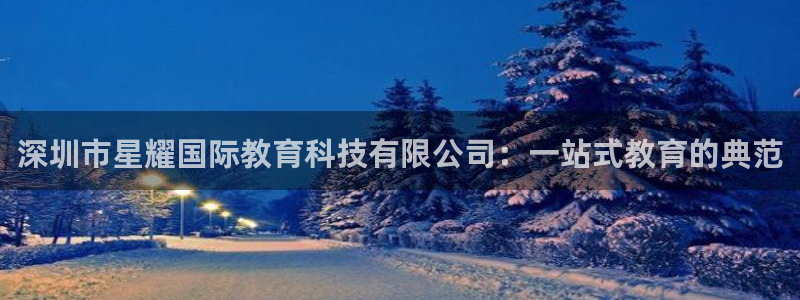 壹号娱乐体育代理：深圳市星耀国际教育科技有限公司：一站式教育的典范