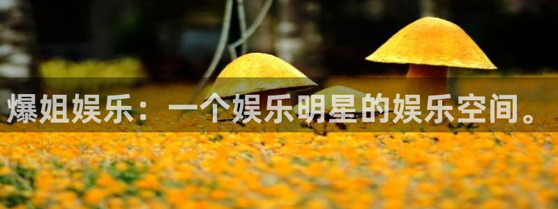 壹号娱乐体育注册代理：爆姐娱乐：一个娱乐明星的娱乐空间。