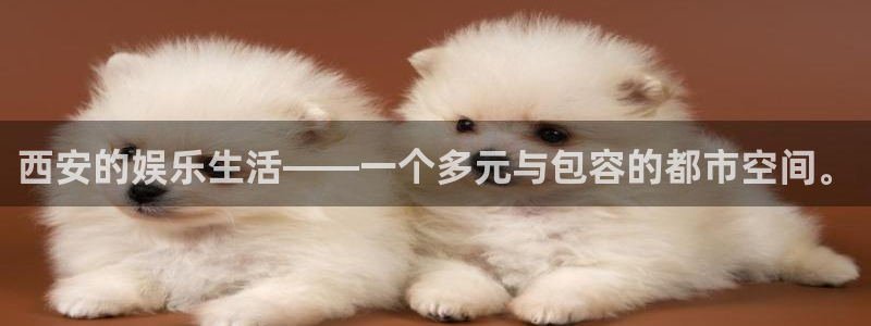 壹号娱乐体育f开号：西安的娱乐生活——一个多元与包容的都市空间。