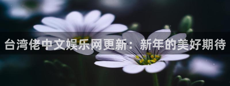 壹号娱乐2平台：台湾佬中文娱乐网更新：新年的美好期待