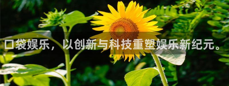 壹号娱乐3注册：口袋娱乐，以创新与科技重塑娱乐新纪元。