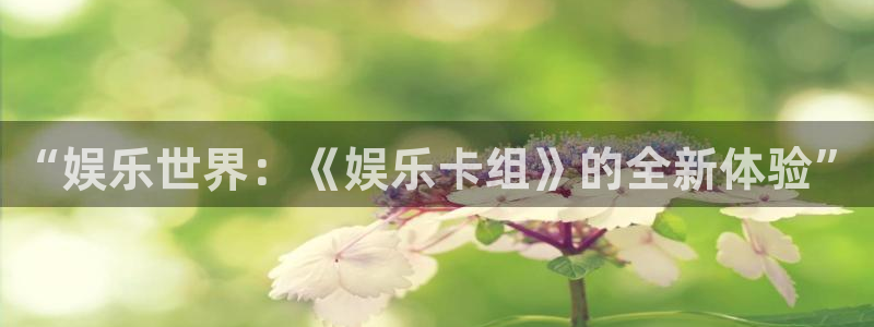 壹号娱乐体育1招商：“娱乐世界：《娱乐卡组》的全新体验”