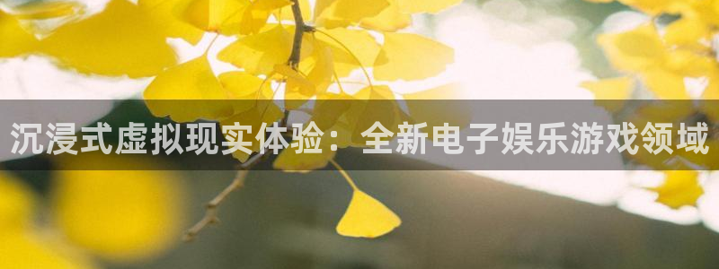 壹号娱乐平台官网：沉浸式虚拟现实体验：全新电子娱乐游戏领域