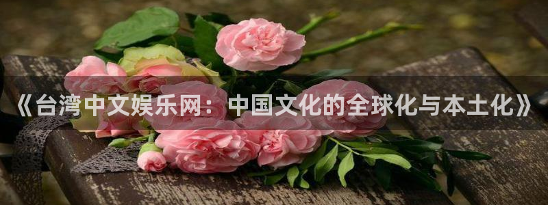 壹号娱乐体育平台登录入口：《台湾中文娱乐网：中国文化的全球化与本土化》