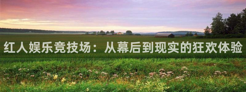 壹号娱乐体育老板是谁：红人娱乐竞技场：从幕后到现实的狂欢体验