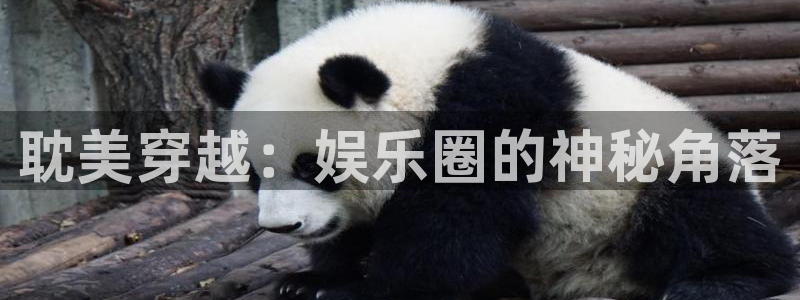 壹号娱乐体育：耽美穿越：娱乐圈的神秘角落