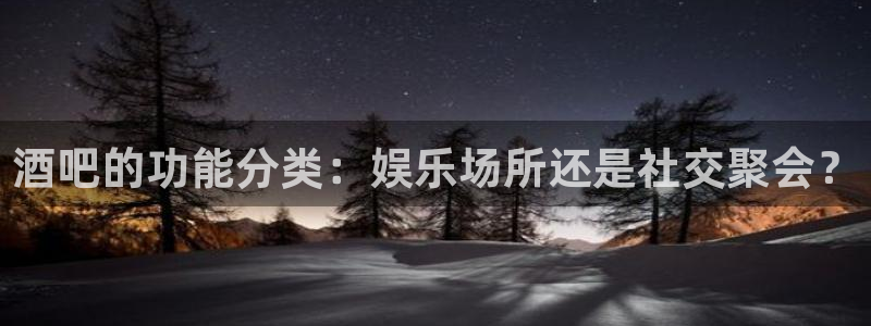 壹号娱乐电子有限公司：酒吧的功能分类：娱乐场所还是社交聚会？