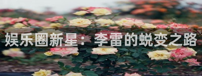成都壹号娱乐电子有限公司：娱乐圈新星：李雷的蜕变之路