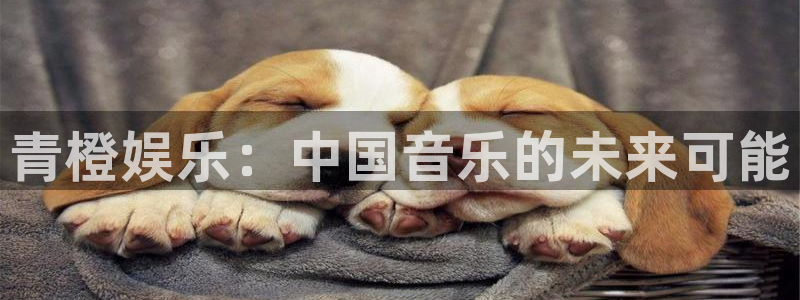 壹号娱乐2平台注册：青橙娱乐：中国音乐的未来可能