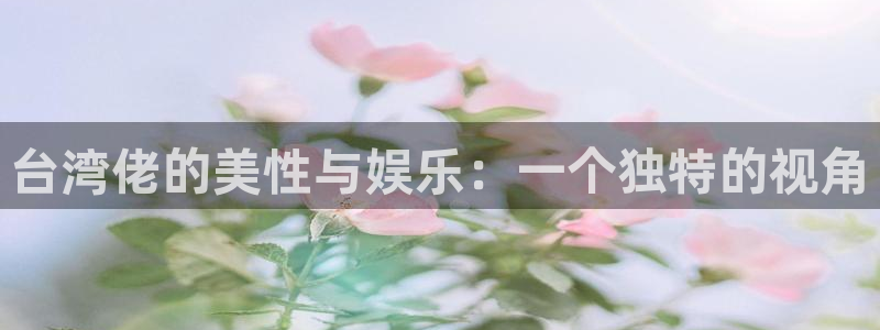 壹号娱乐电子有限公司：台湾佬的美性与娱乐：一个独特的视角
