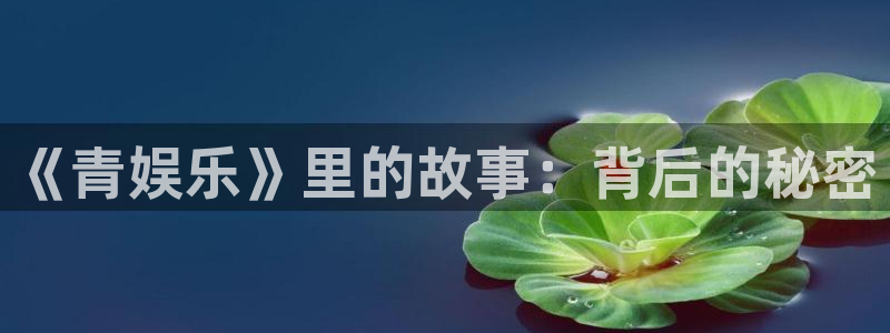 壹号娱乐体育4：《青娱乐》里的故事：背后的秘密