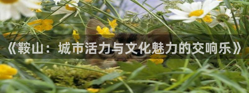 壹号娱乐3注册：《鞍山：城市活力与文化魅力的交响乐》