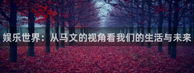 壹号娱乐体育3：娱乐世界：从马文的视角看我们的生活与未来