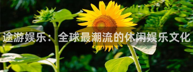 壹号娱乐体育平台总代理：途游娱乐：全球最潮流的休闲娱乐文化