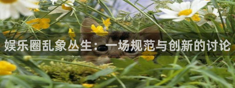 壹号娱乐登录：娱乐圈乱象丛生：一场规范与创新的讨论