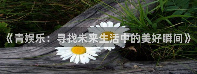 壹号娱乐2平台注册：《青娱乐：寻找未来生活中的美好瞬间》