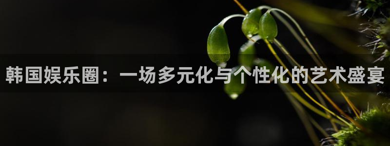 壹号娱乐股份：韩国娱乐圈：一场多元化与个性化的艺术盛宴