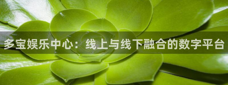 壹号娱乐：多宝娱乐中心：线上与线下融合的数字平台
