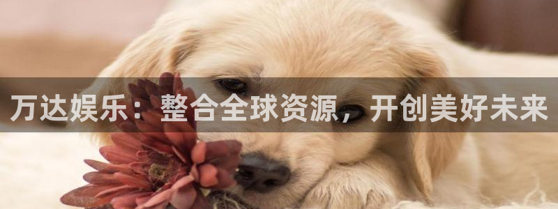壹号娱乐2体育登录入口：万达娱乐：整合全球资源，开创美好未来