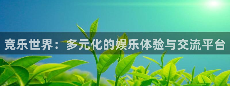 壹号娱乐5