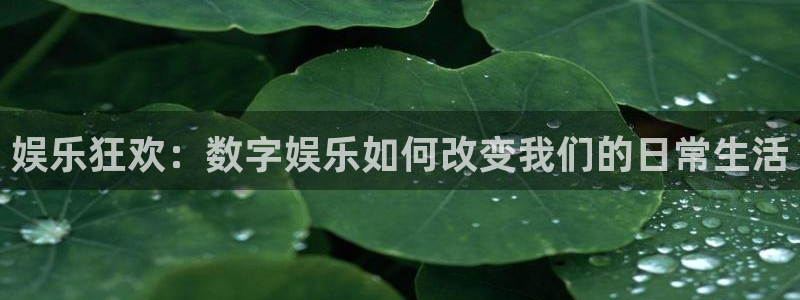 壹号娱乐3代理