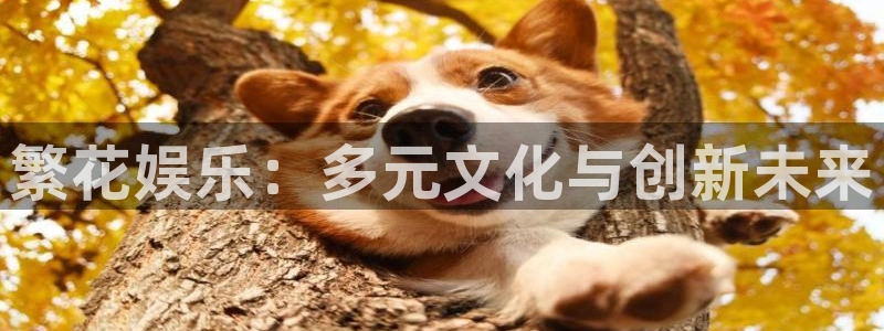 壹号娱乐登录