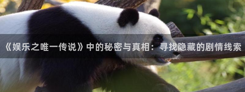 壹号娱乐主管