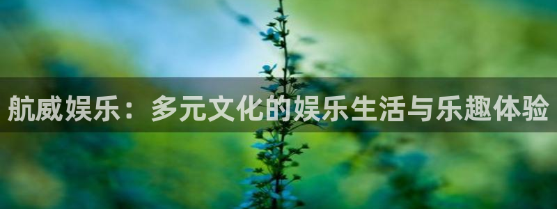 壹号娱乐2平台