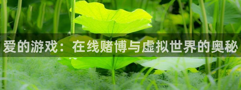 壹号娱乐体育代理：爱的游戏：在线赌博与虚拟世界的奥秘