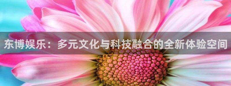 壹号娱乐体育免费注册入口：东博娱乐：多元文化与科技融合的全新体验空间